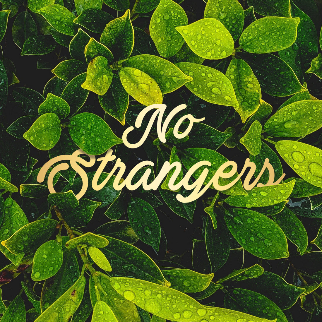 Cos - No Strangers